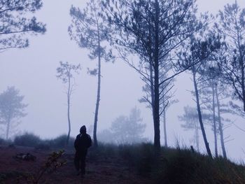 Rear view of man walking in forest during winter