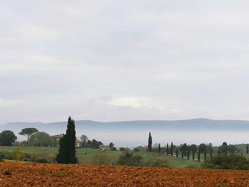 Scenic view of field against sky