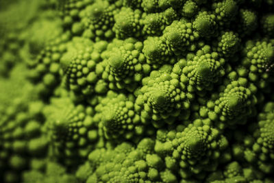 Full frame shot of green vegetables