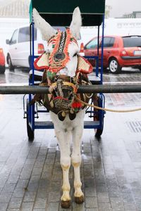 Full length of a horse cart on street