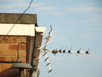 Low angle view of bird perching on antenna against sky