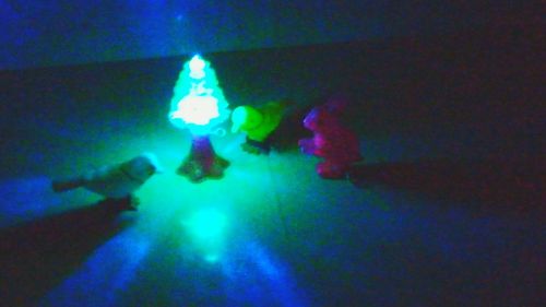 People enjoying at music concert