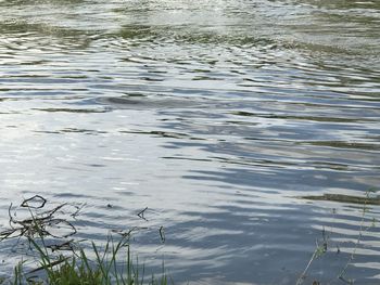 Full frame shot of rippled water in lake