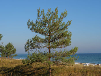 The island of rügen