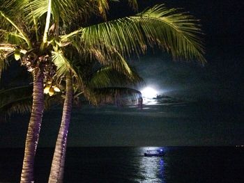 Palm trees by sea against sky