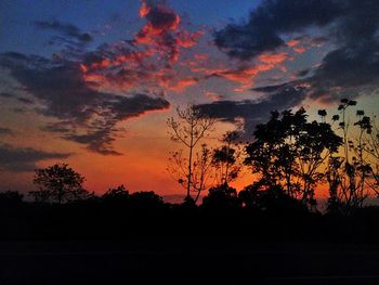 Silhouette trees against sky during sunset