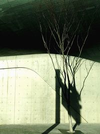 Shadow of wall on wall