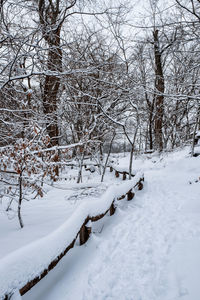 Snow covered bare trees on field during winter