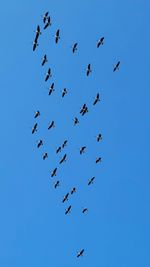 flying