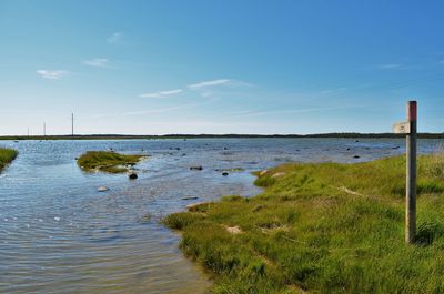 Scenic view of river by grassy field against blue sky on sunny day