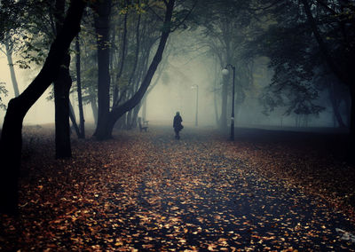 Rear view of woman walking on footpath in park during foggy weather