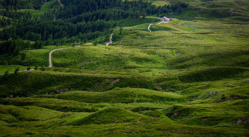 High angle view of agricultural field