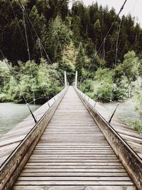 Footbridge amidst trees in forest