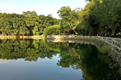 Reflection of trees in lake against sky