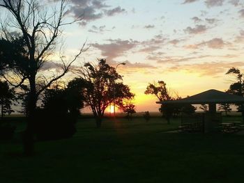 Silhouette of trees at sunset