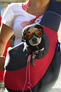 Woman with dog wearing ski goggles outdoors