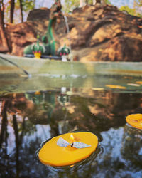 Close-up of yellow swimming in lake