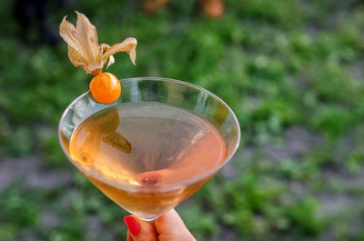 Cropped hand of woman holding drink