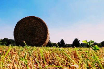 Hay bales on field against sky