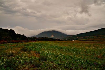 Scenic view of landscape against sky