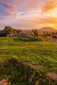 Scenic view of landscape against sky during sunset