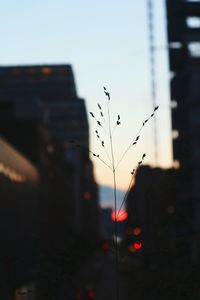 Close-up of silhouette car against sky during sunset