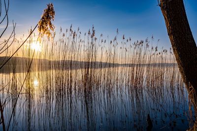 Scenic view of lake against sky at sunset