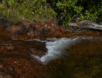 Stream flowing through rocks in forest