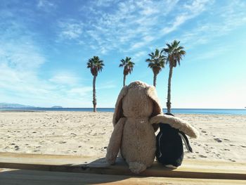 Palm tree on beach against sky