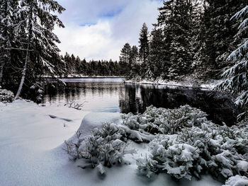 Frozen lake by trees against sky during winter