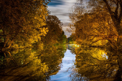 Reflection of trees in lake during autumn