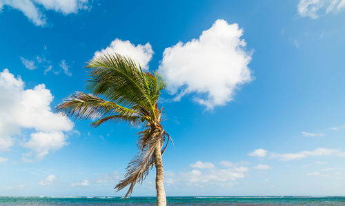 Scenic view of sea against blue sky