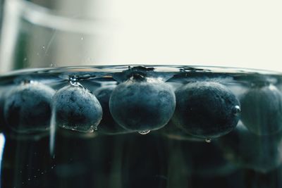 Close-up of wet grapes