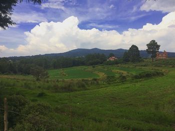 Scenic view of grassy field against cloudy sky