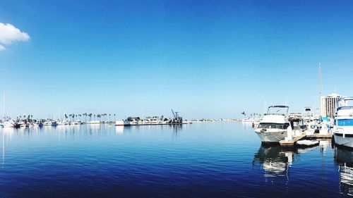 Sailboats in marina