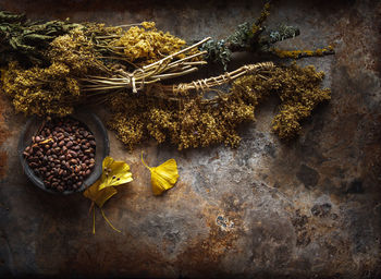 High angle view of dried plant on table