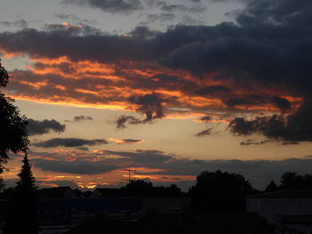 Silhouette trees against dramatic sky during sunset