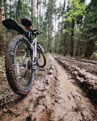 Bicycle on dirt road in forest