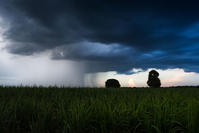 Scenic view of wheat field against storm clouds