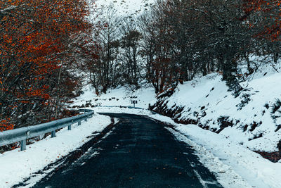 Snow covered road amidst trees during winter