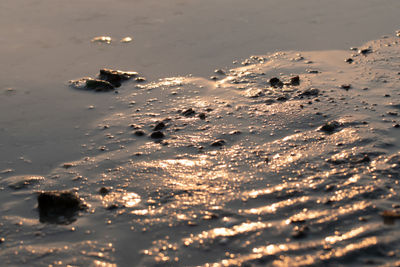 High angle view of shore at beach