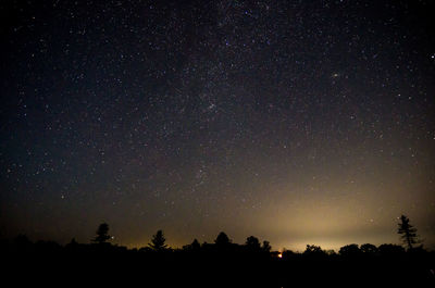 Low angle view of silhouette trees against star field