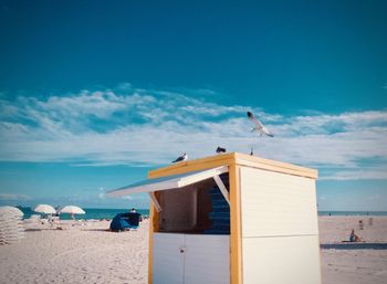 Seagulls against the summer sky on the hut in the miami beach, florida.