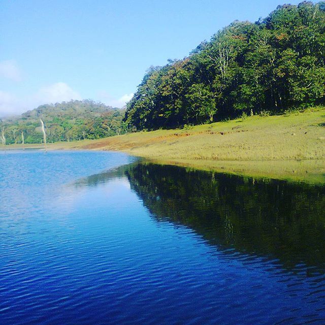 water, tranquil scene, tranquility, tree, scenics, beauty in nature, waterfront, nature, lake, blue, reflection, green color, rippled, idyllic, growth, sky, river, landscape, day, clear sky