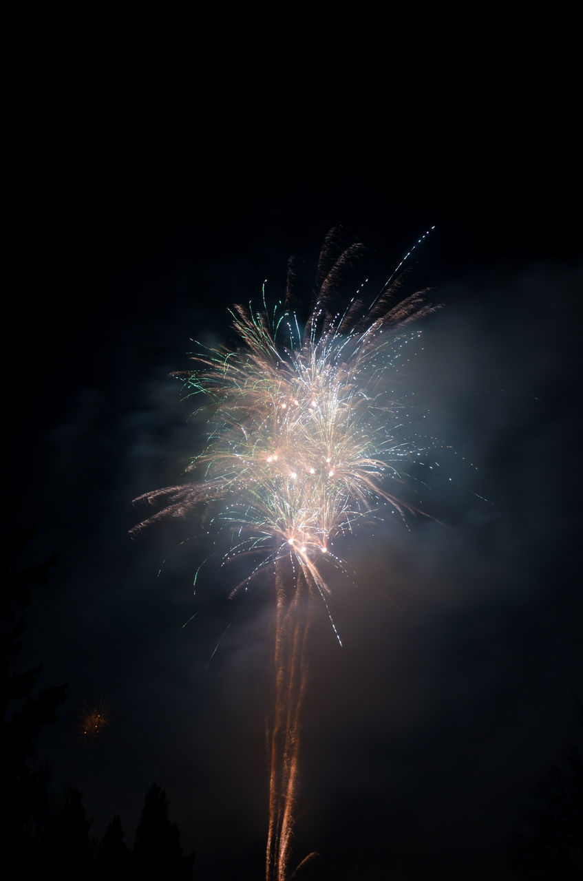 FIREWORK DISPLAY AT NIGHT