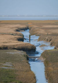 Priel and wetland on the north sea island of sylt