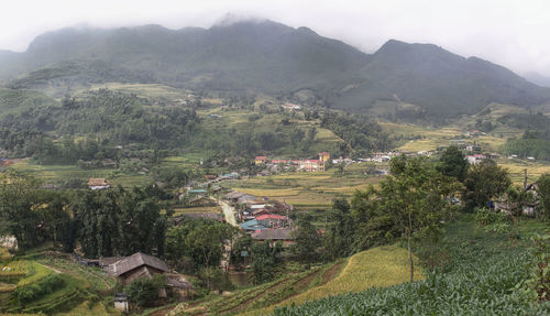 Aerial view of agricultural field