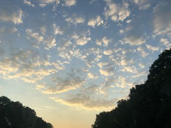 Low angle view of silhouette trees against sky during sunset