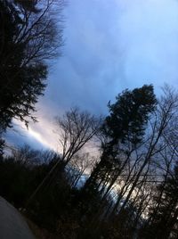 Bare trees against cloudy sky