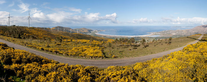 Scenic view of landscape against sky